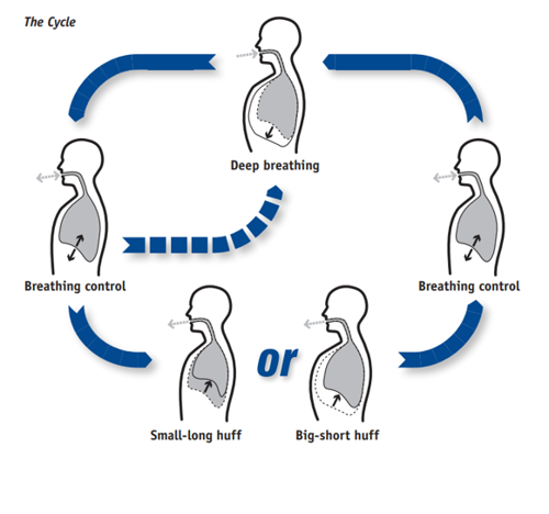 Diagram showing a breathing cycle. Phases include deep breathing, breathing control, small-long huff, and big-short huff, highlighted by arrows.