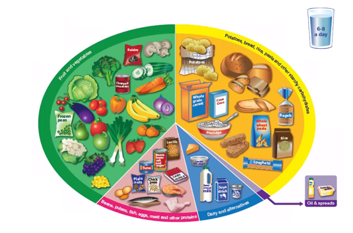 A colourful, circular food chart divided into segments showing balanced diet categories: fruits and vegetables, proteins, carbs, and dairy. Includes a glass labelled "6-8 a day" for water intake and a section for oils and spreads.