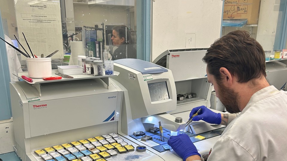 Pathology Target Operating Model (TOM) and Laboratory Information System (LIMS) Latest Update